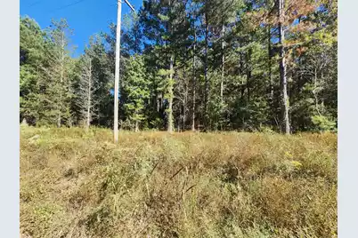 0 Ordie Road, Saint George, SC 29477 - Photo 1