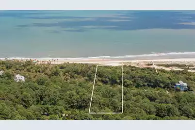 295 Pelican Flight Drive #Lot 16, Dewees Island, SC 29451 - Photo 1