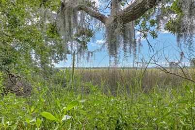 700 Daniel Ellis Drive #11306, Charleston, SC 29412 - Photo 1