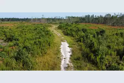 0 First Bend Road, Harleyville, SC 29448 - Photo 1