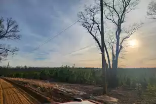 Bce 9A Kelly Day Road #Bce 9A, Gilbert, SC 29054 - Photo 1