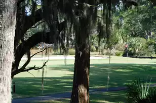 265 Sea Cloud Cir, Edisto Island, SC 29438 - Photo 1