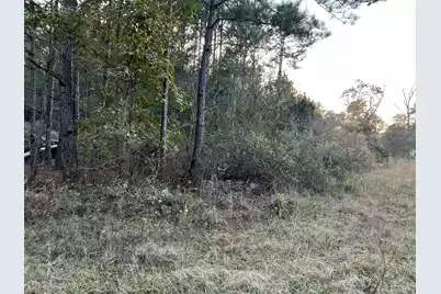 0 Smoak Road, Walterboro, SC 29488 - Photo 1