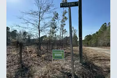 50 Acres Bridlewood Rd., Cheraw, SC 29520 - Photo 1