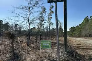 50 Acres Bridlewood Rd, Cheraw, SC 29520 - Photo 1