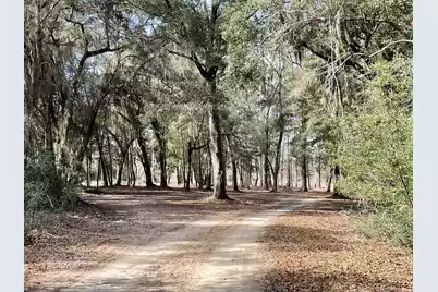 0 Louis Berry Lane, Edisto Island, SC 29438 - Photo 1