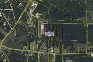 250 Droze Ln, Summerville, SC 29486 - Photo 1