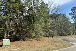 226 Spotted Owl Ln, Moncks Corner, SC 29461 - Photo 1