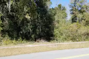 0000 Lemacks Street N, Walterboro, SC 29488 - Photo 1