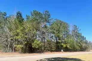 0 Kirkland, Orangeburg, SC 29118 - Photo 1