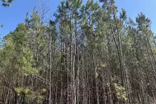 1726 Hwy 61, Ridgeville, SC 29472 - Photo 1