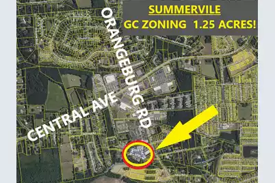0 Orangeburg Road, Summerville, SC 29483 - Photo 1