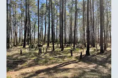 0 Backfield Road, Walterboro, SC 29488 - Photo 1