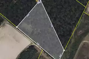 0 Deer Run Ave, Andrews, SC 29510 - Photo 1