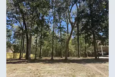 0 Dowling Avenue, Walterboro, SC 29488 - Photo 1