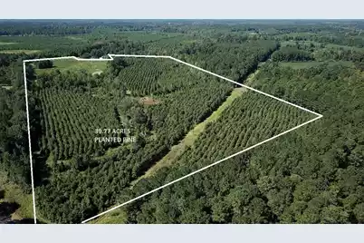 00 Fralix, Smoaks, SC 29481 - Photo 1