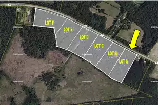 0 A Bells Hwy, Walterboro, SC 29488 - Photo 1