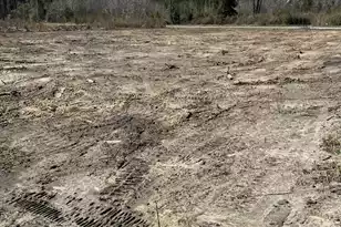 77 Herndon St Lot B-3, Walterboro, SC 29488 - Photo 1