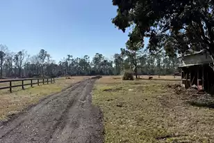 Lot B-5 Hwy 61, Ridgeville, SC 29472 - Photo 1