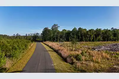 0 Carters Ford Road, Walterboro, SC 29488 - Photo 1