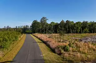 0 Carters Ford Rd, Walterboro, SC 29488 - Photo 1