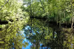 211 Waters Ct, Walterboro, SC 29488 - Photo 1