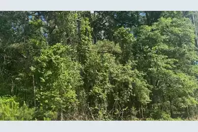 0 Ridgelake Circle, Saint Matthews, SC 29135 - Photo 1