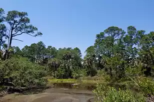 53 Blue Heron Pond Rd, Kiawah Island, SC 29455 - Photo 1