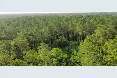 1A Red Oak Road, Cottageville, SC 29435 - Photo 1