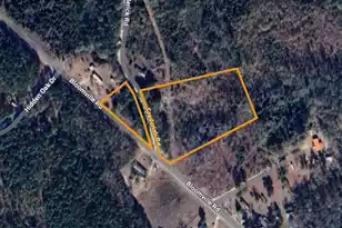 1050 Frederick Rd, Manning, SC 29102 - Photo 1