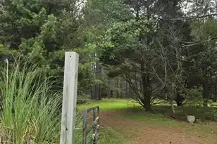 194 Sunnydale Rd, Reevesville, SC 29471 - Photo 1