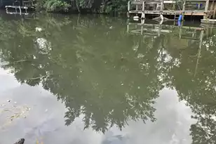 1093 Denwood Ln, Summerton, SC 29148 - Photo 1