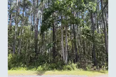 110 Rayland Circle, Walterboro, SC 29488 - Photo 1