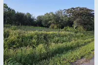 163 Moonlight Drive, Eutawville, SC 29048 - Photo 1