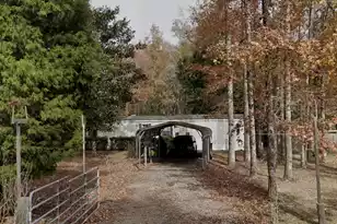 169 Gibbs Loop, Summerville, SC 29483 - Photo 1