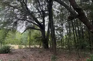 Qaf 2 Rainbow Dr #Qaf 2, Wagener, SC 29164 - Photo 1