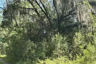 5856 Martin St Lot 2, Ravenel, SC 29470 - Photo 1