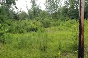 4942 Jacksonboro Rd, Round O, SC 29474 - Photo 1