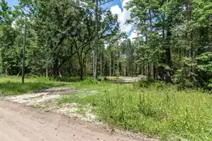 98 Manatee Ln, Green Pond, SC 29446 - Photo 1