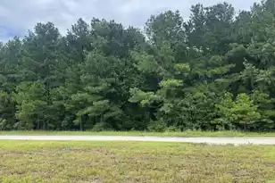 0 Herring Dr, Manning, SC 29102 - Photo 1