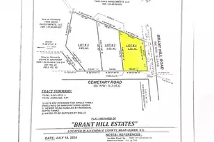 3595 Cemetary Rd, Ulmer, SC 29849 - Photo 1