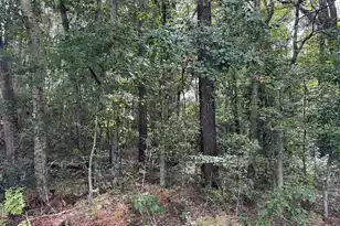 0 Wertz St, Orangeburg, SC 29115 - Photo 1