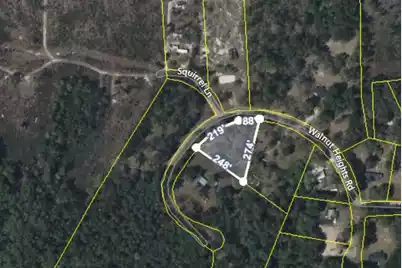 197 Walnut Heights Road, Dorchester, SC 29437 - Photo 1