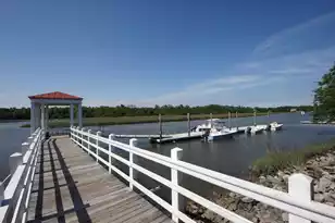 23 Robert Mills Cir, Mount Pleasant, SC 29464 - Photo 100