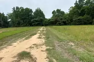 00 Cecil Rd, Manning, SC 29102 - Photo 1