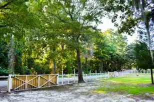 0 Tucker Rd N, Eutawville, SC 29048 - Photo 1