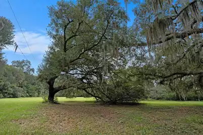 7817 Little Britton Road, Meggett, SC 29449 - Photo 22
