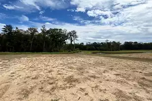 464 Tulip Poplar Dr, Moncks Corner, SC 29461 - Photo 1