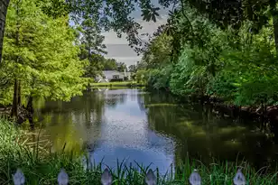 933 Lakeview Dr, Mount Pleasant, SC 29464 - Photo 52