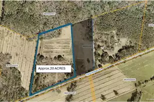0 Toogoodoo Rd, Adams Run, SC 29426 - Photo 1